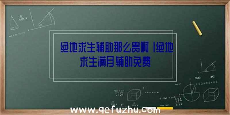 「绝地求生辅助那么贵啊」|绝地求生满月辅助免费
